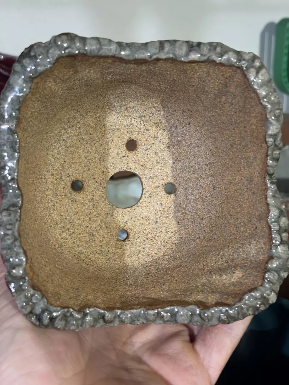 plant/Hibiscus Pot-1