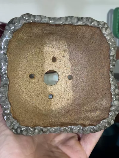 plant/Hibiscus Pot-1-thumbnail