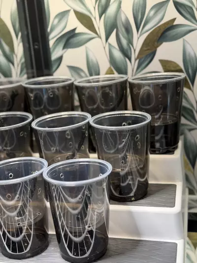 plant/Set of 12 Self Watering Pup Cups!! 🖤❤️🖤5.5 oz inner cup-5-thumbnail