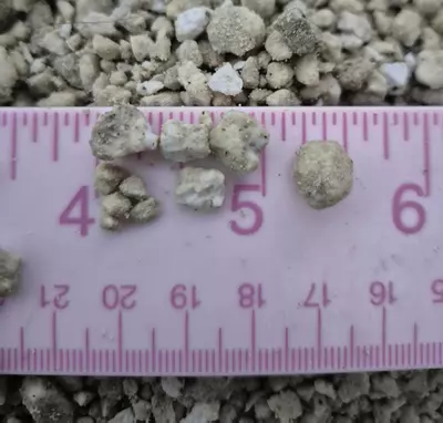 plant/Pumice--medium flat rate box--🐸💚-1-thumbnail