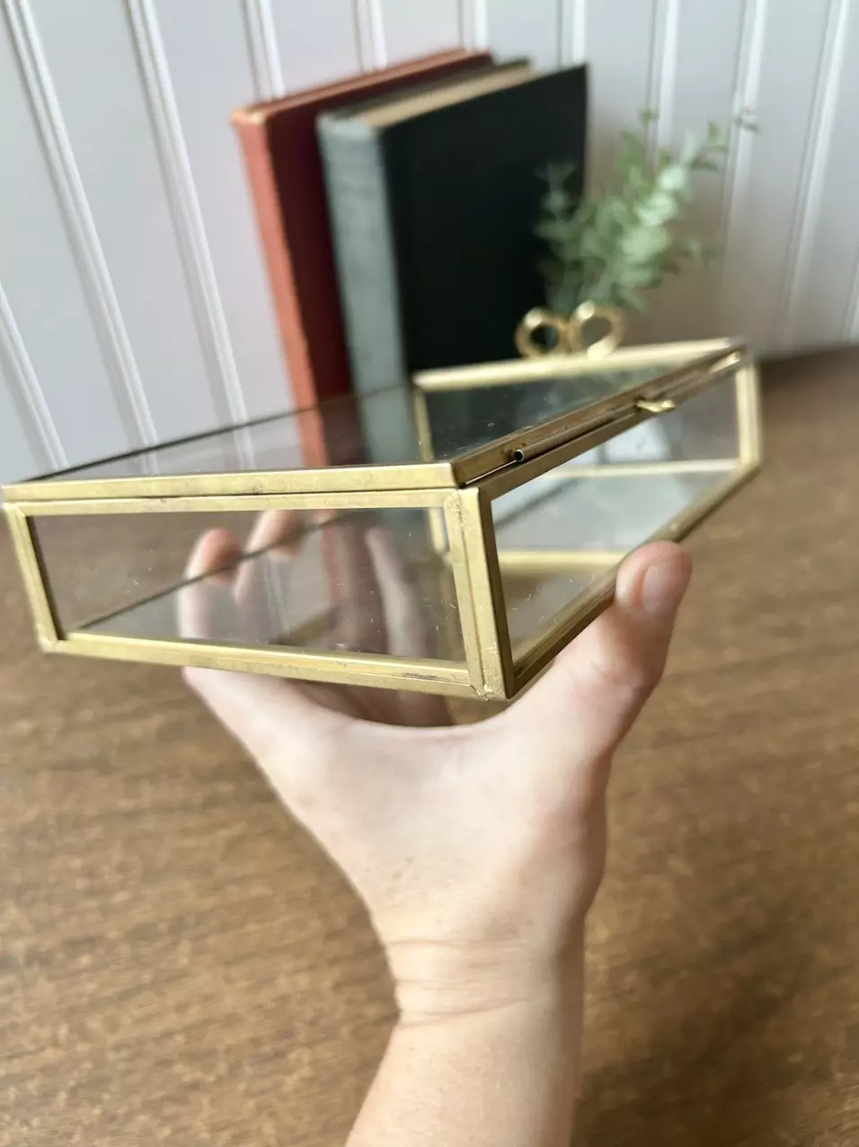 plant/Glass and brass box with sliding clasp-2