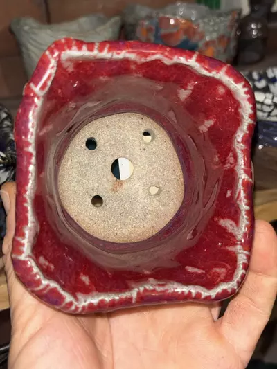 plant/Lil Banger-1-thumbnail