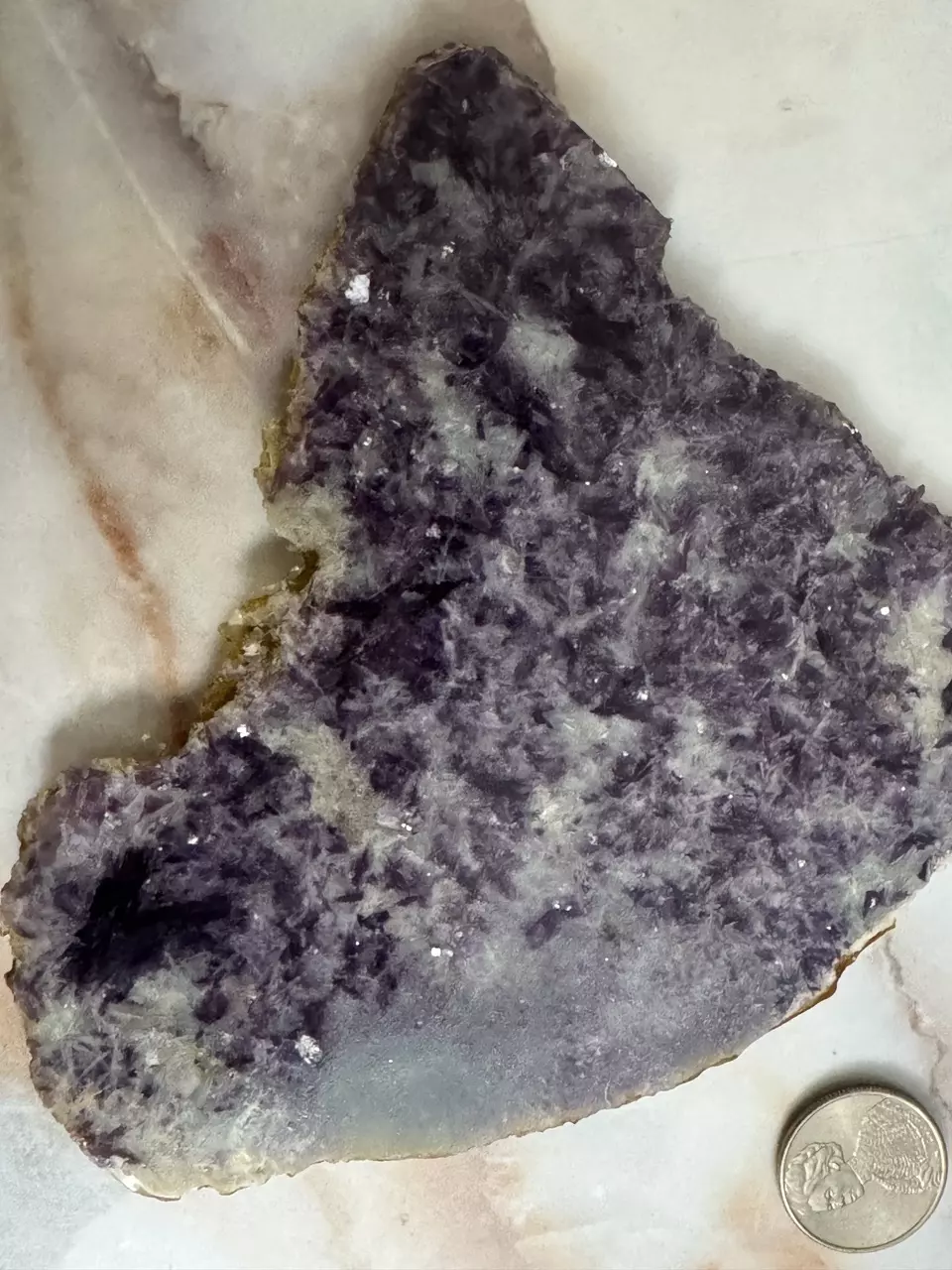 plant/lepidolite slice-2
