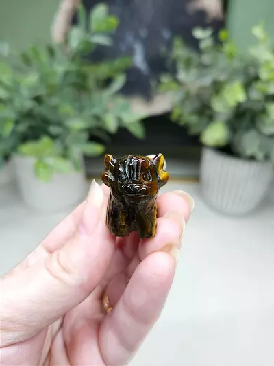 plant/Tiger's Eye mini cow-0-thumbnail