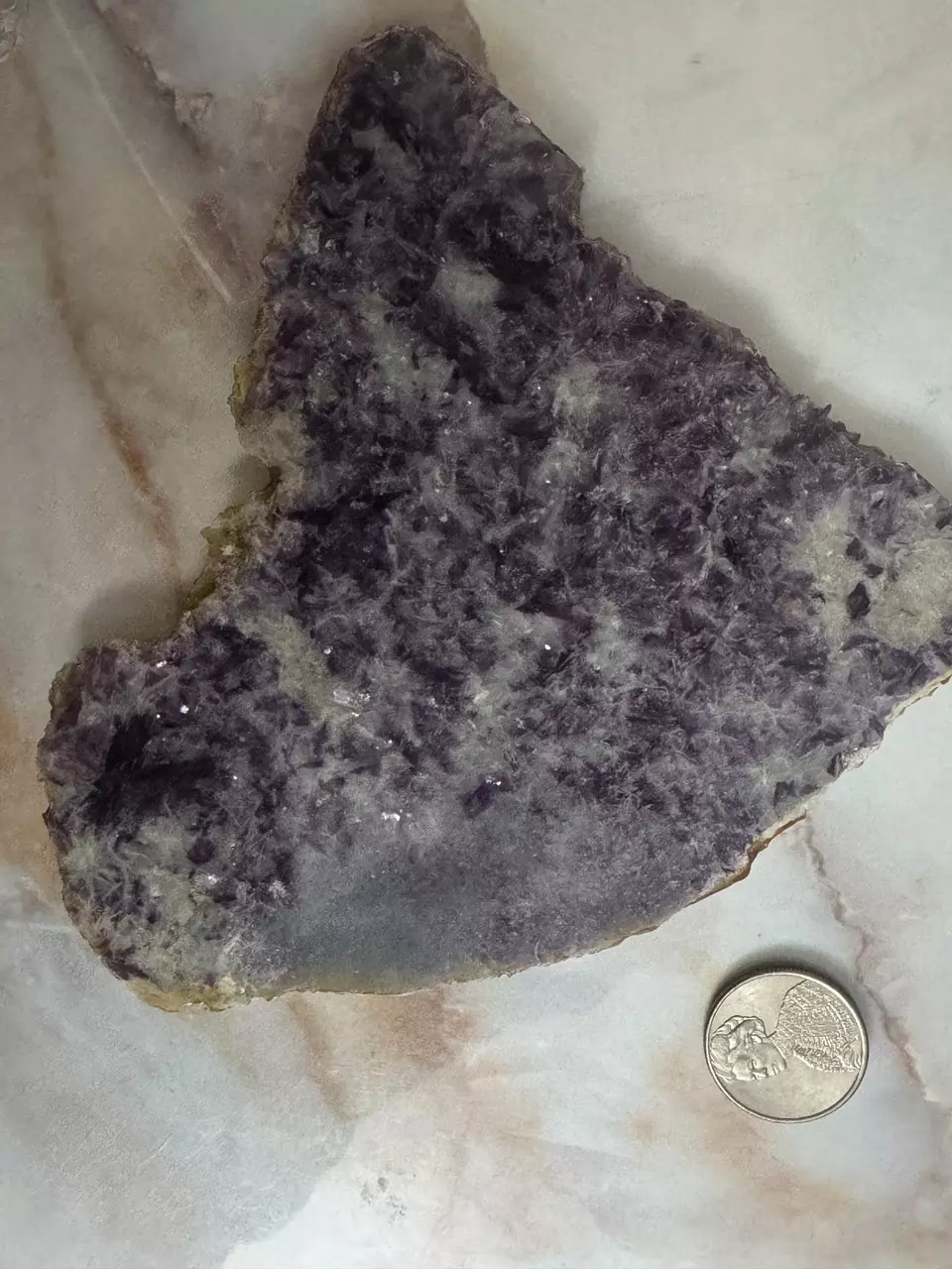 plant/lepidolite slice-1