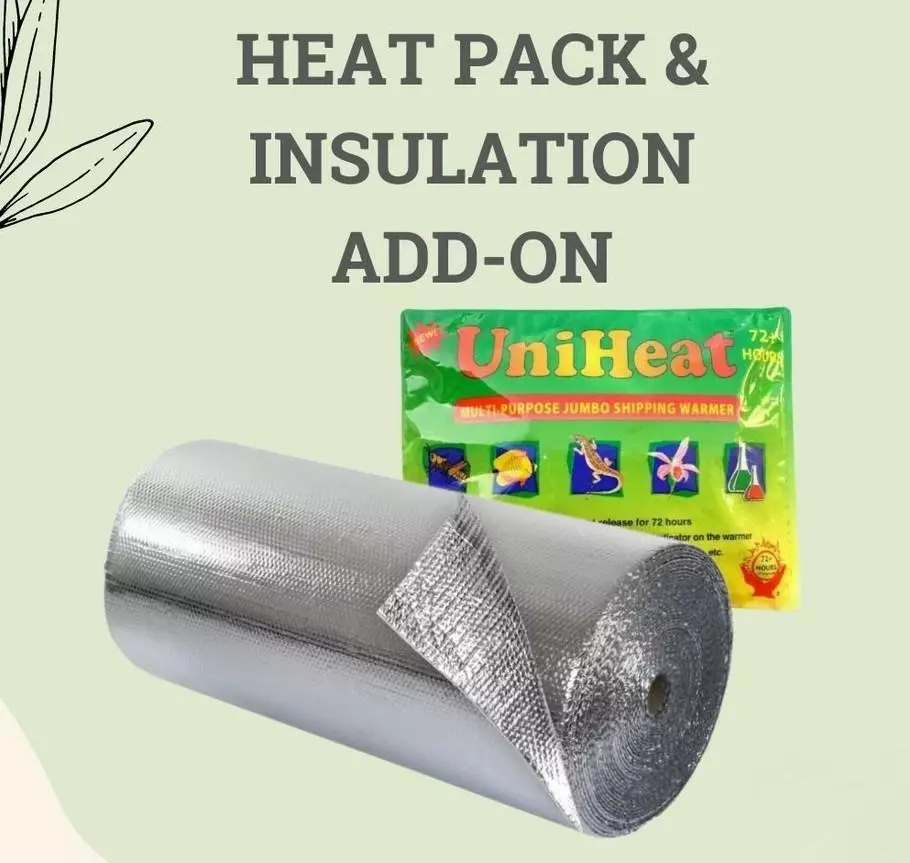 plant/Heat Pack & Insulation-0