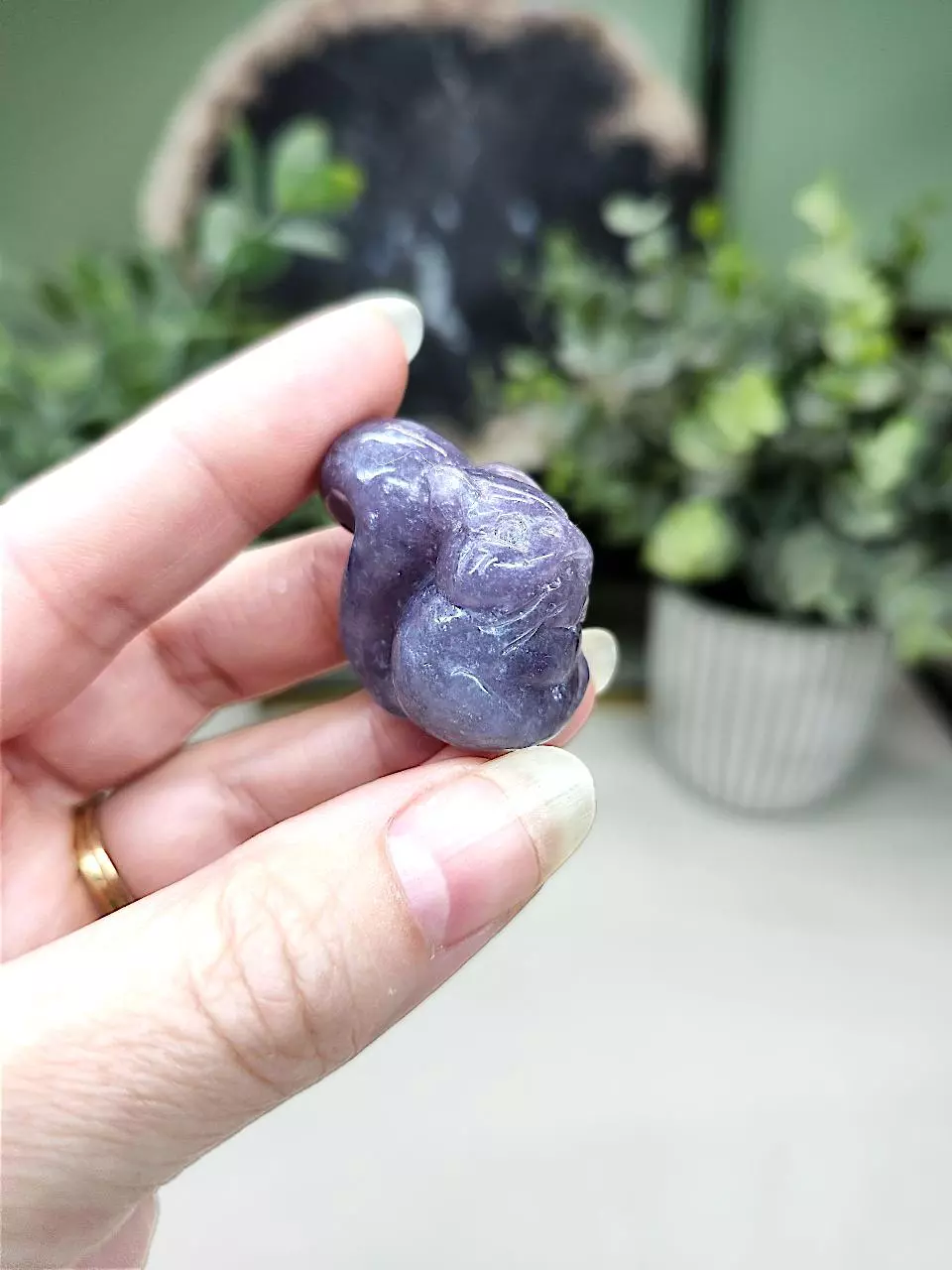 plant/Lepidalite mini squirrel-0