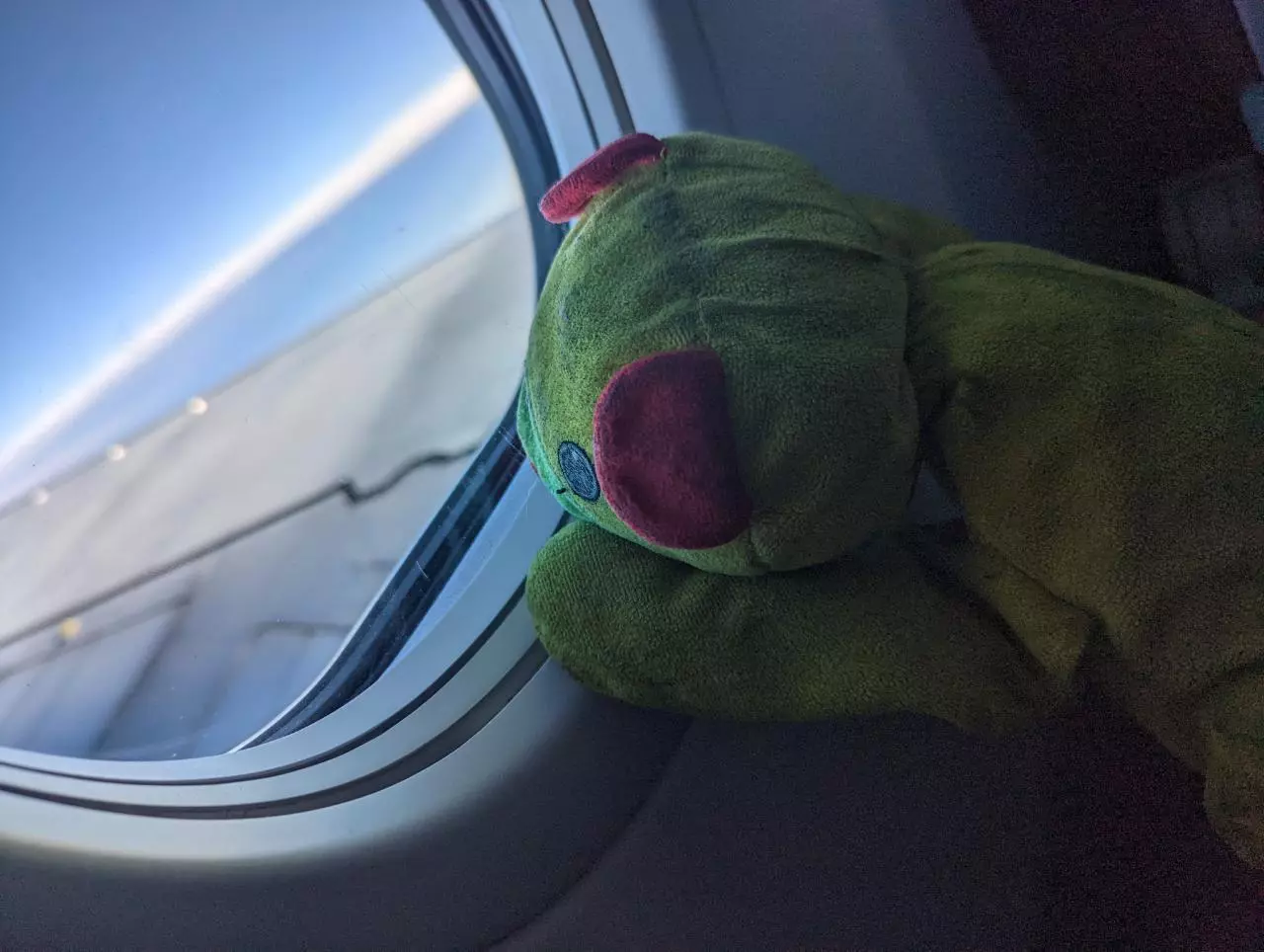 shipping_upgrade/PACKAGE PLEASE (Rush handling & +1 to shipping) NOT NEXT DAY-0