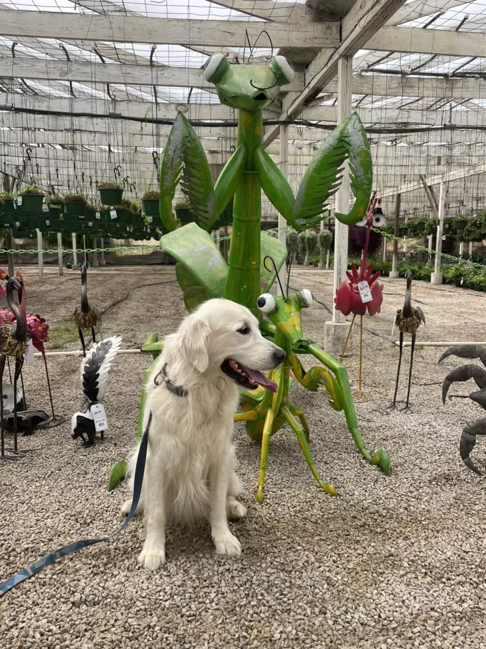 plant/Random purp - This is one of the greener ones-0