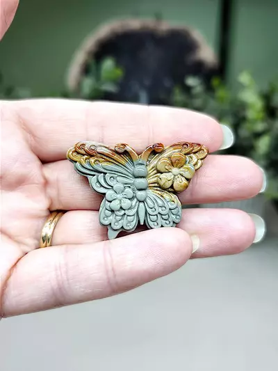 plant/Alashan mini butterfly (2)-0-thumbnail