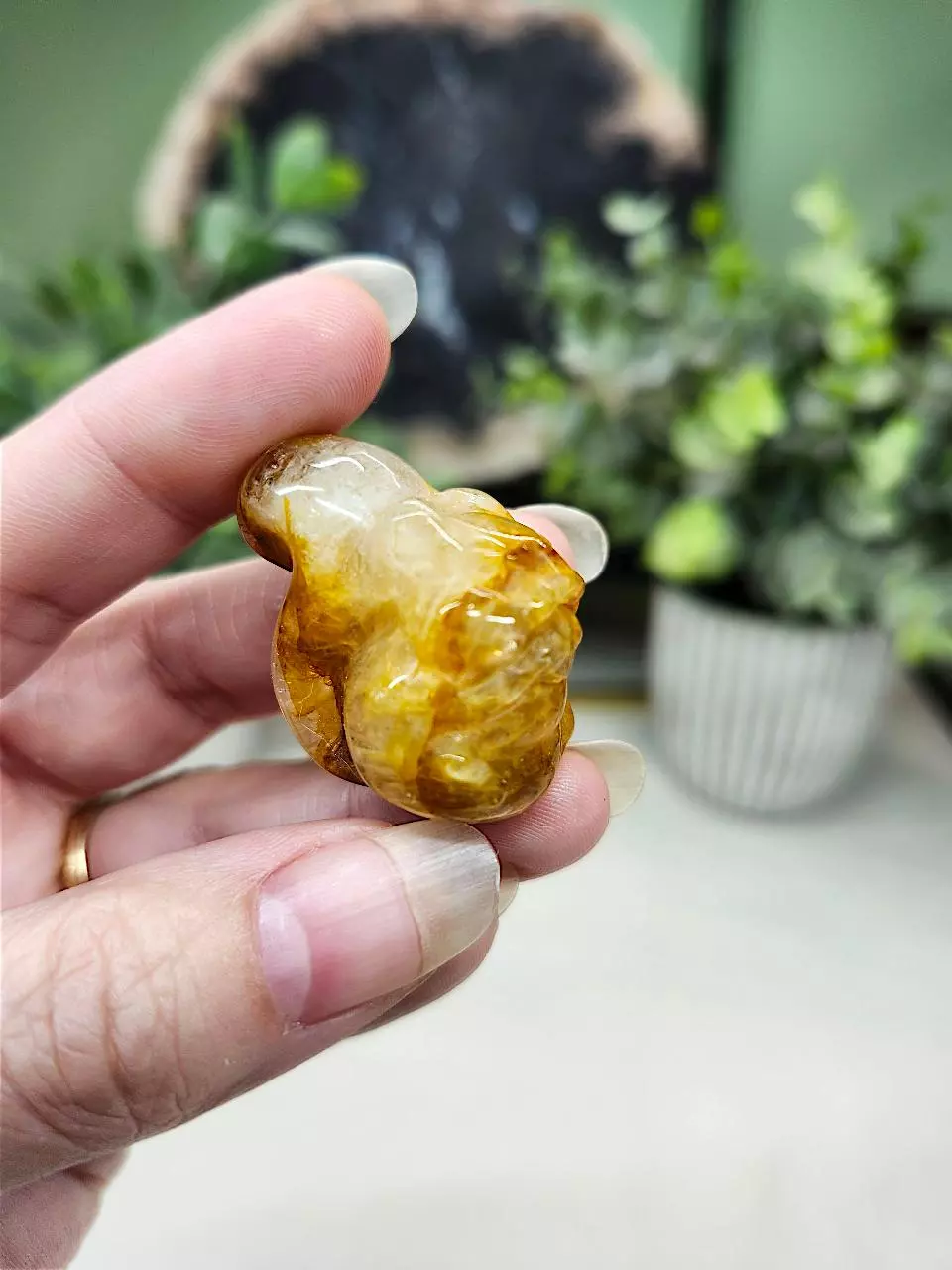 plant/Golden Healer Quartz mini squirrel-0
