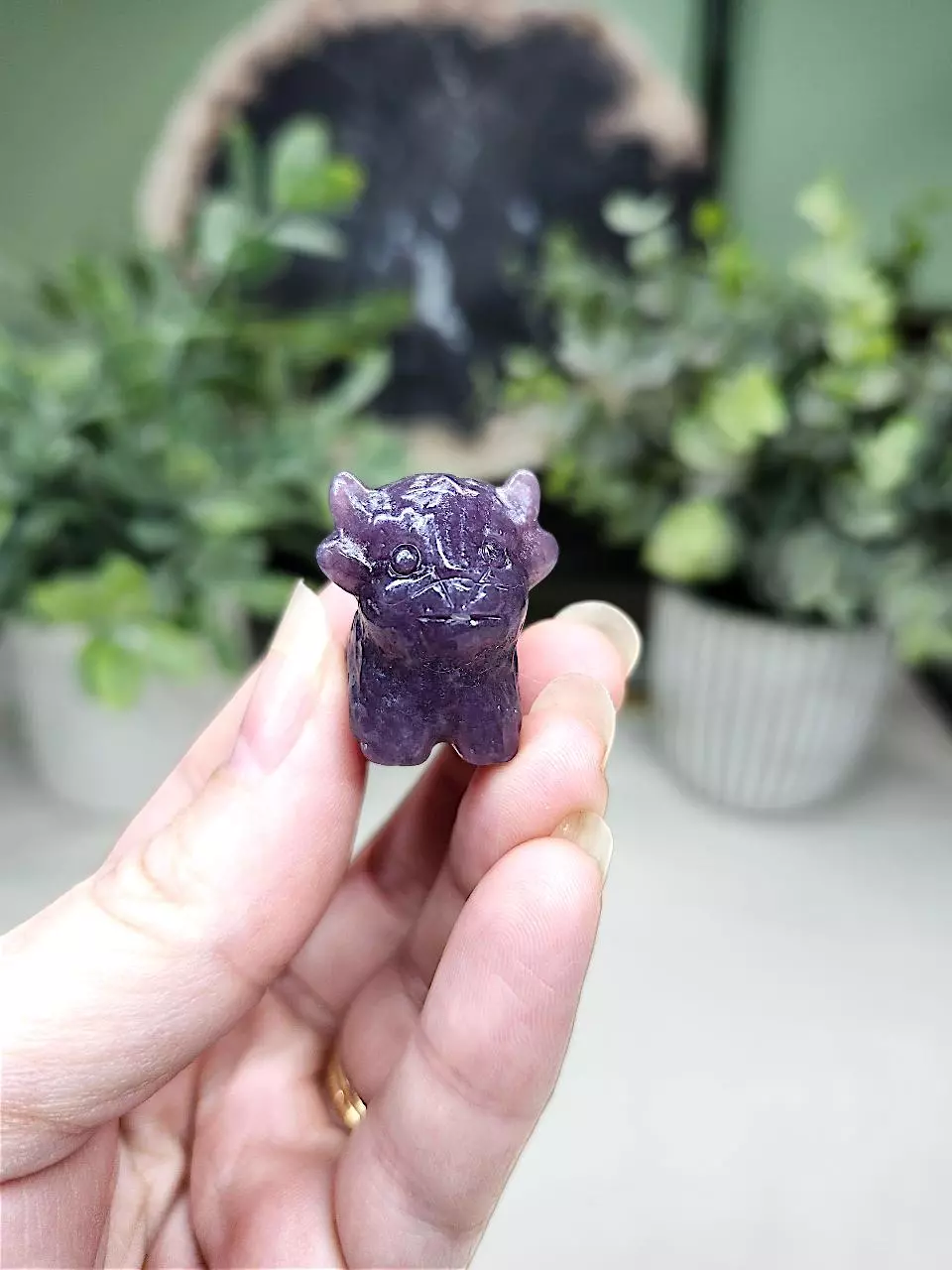 plant/Lepidalite mini cow-0