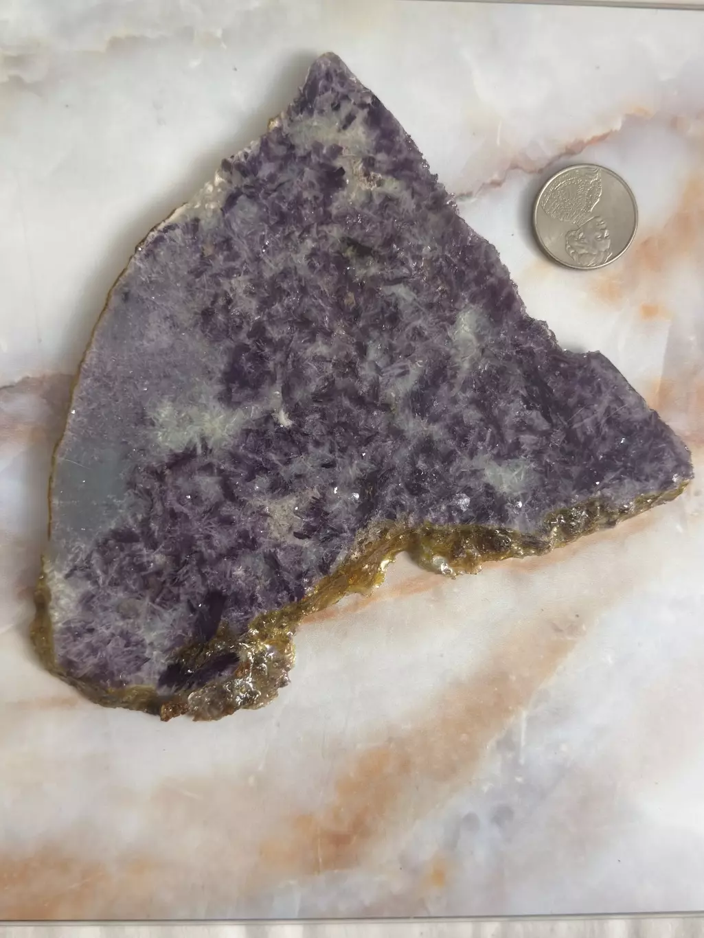plant/lepidolite slice-0