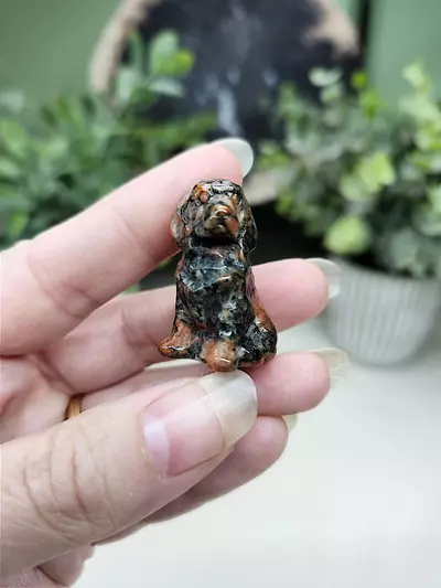 plant/Red Sesame stone mini dog-0-thumbnail