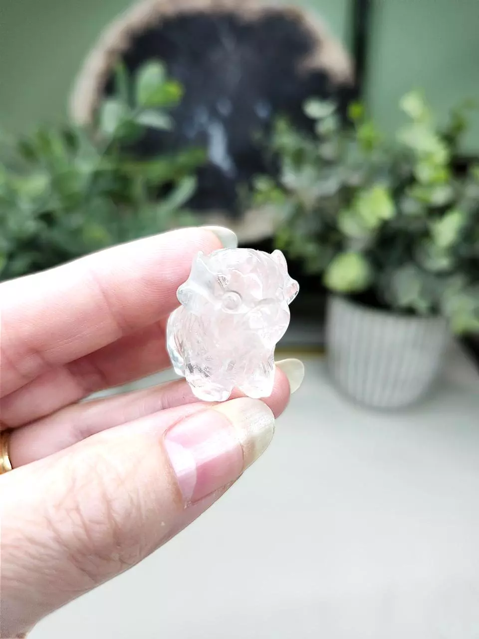 plant/Clear Quartz mini cow-0