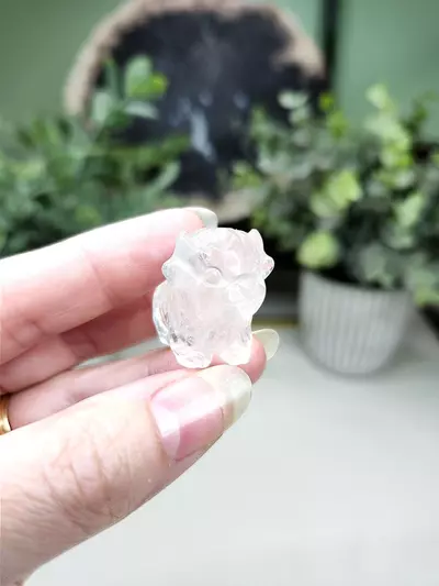 plant/Clear Quartz mini cow-0-thumbnail