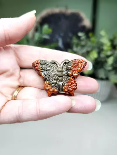 plant/Alashan mini butterfly (3)-0-thumbnail