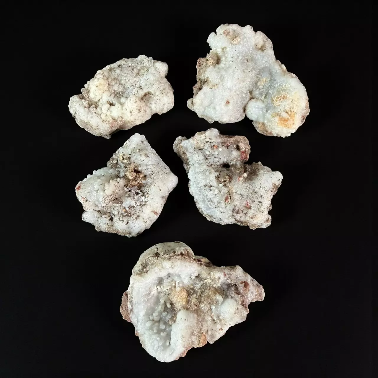 plant/Fluorescent Hyalite Opal Mineral Specimen-1