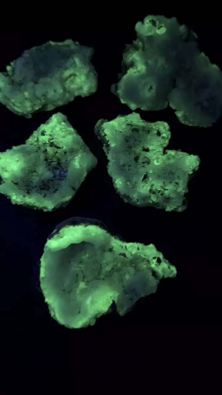 plant/Fluorescent Hyalite Opal Mineral Specimen-4