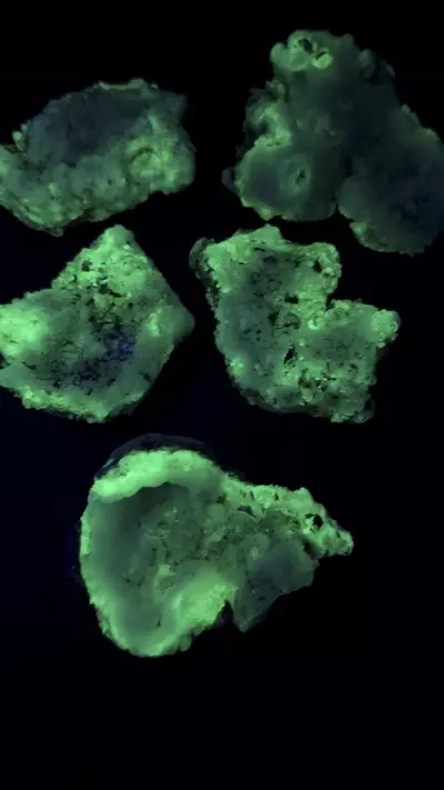 plant/Fluorescent Hyalite Opal Mineral Specimen-4-thumbnail