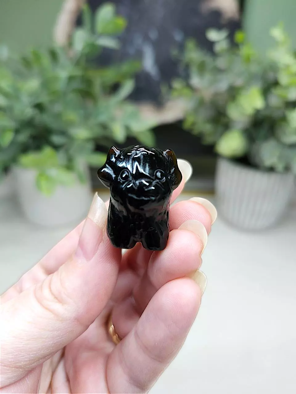plant/Obsidian mini cow-0
