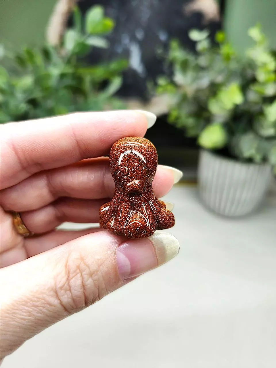 plant/Gold Stone mini octopus-0