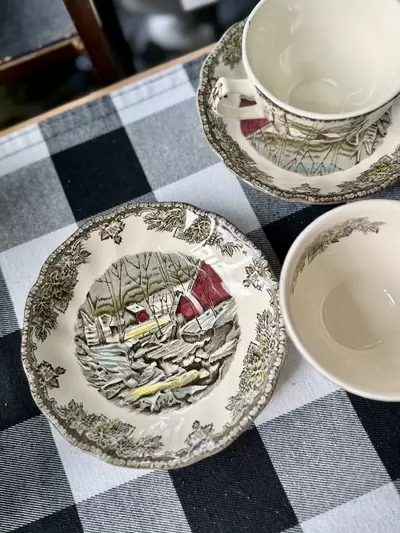 plant/Johnson Bros teacup & saucer (Was $12)-3-thumbnail