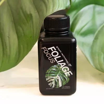 plant/Foliage Focus Growth Technology GT (8.5 fl. oz)-0-thumbnail