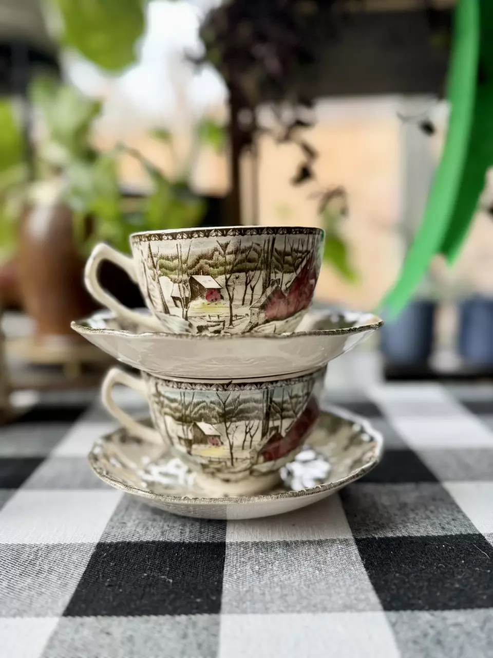 plant/Johnson Bros teacup & saucer (Was $12)-1
