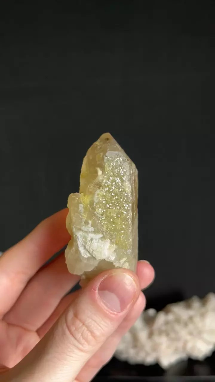 plant/#7 Druzy Citrine-0