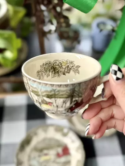 plant/Johnson Bros teacup & saucer (Was $12)-2-thumbnail