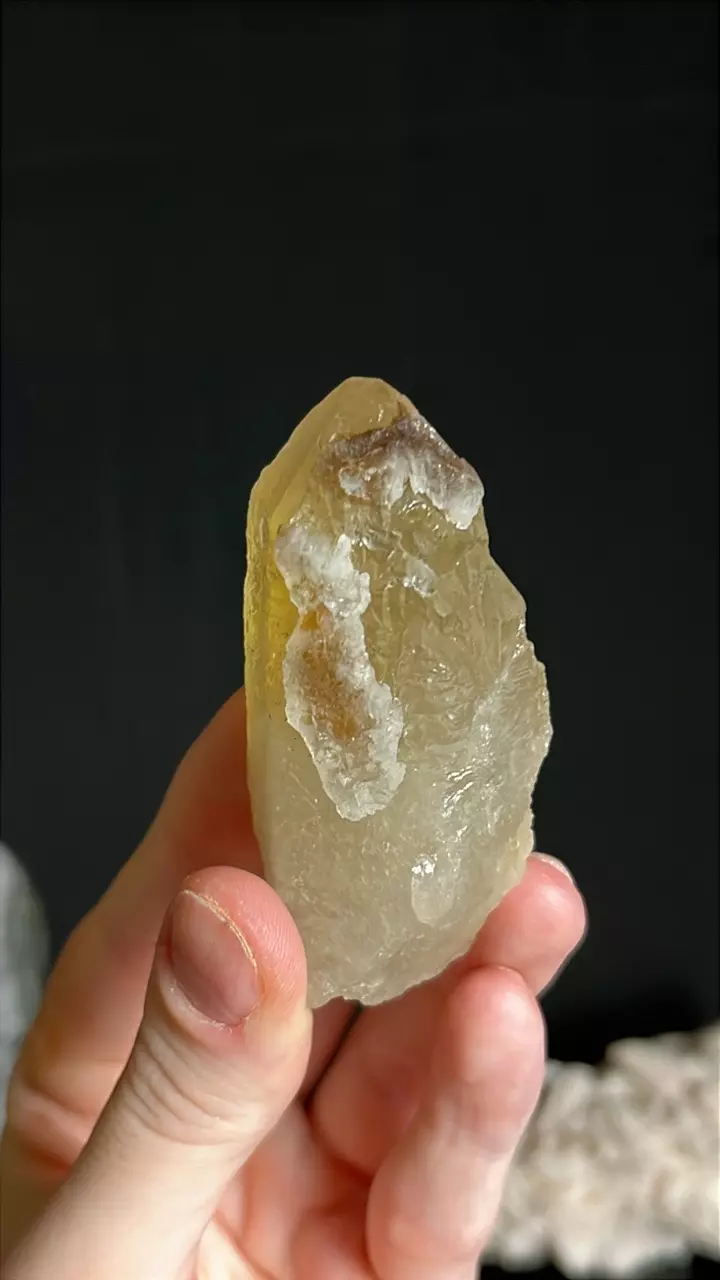 plant/#7 Druzy Citrine-3