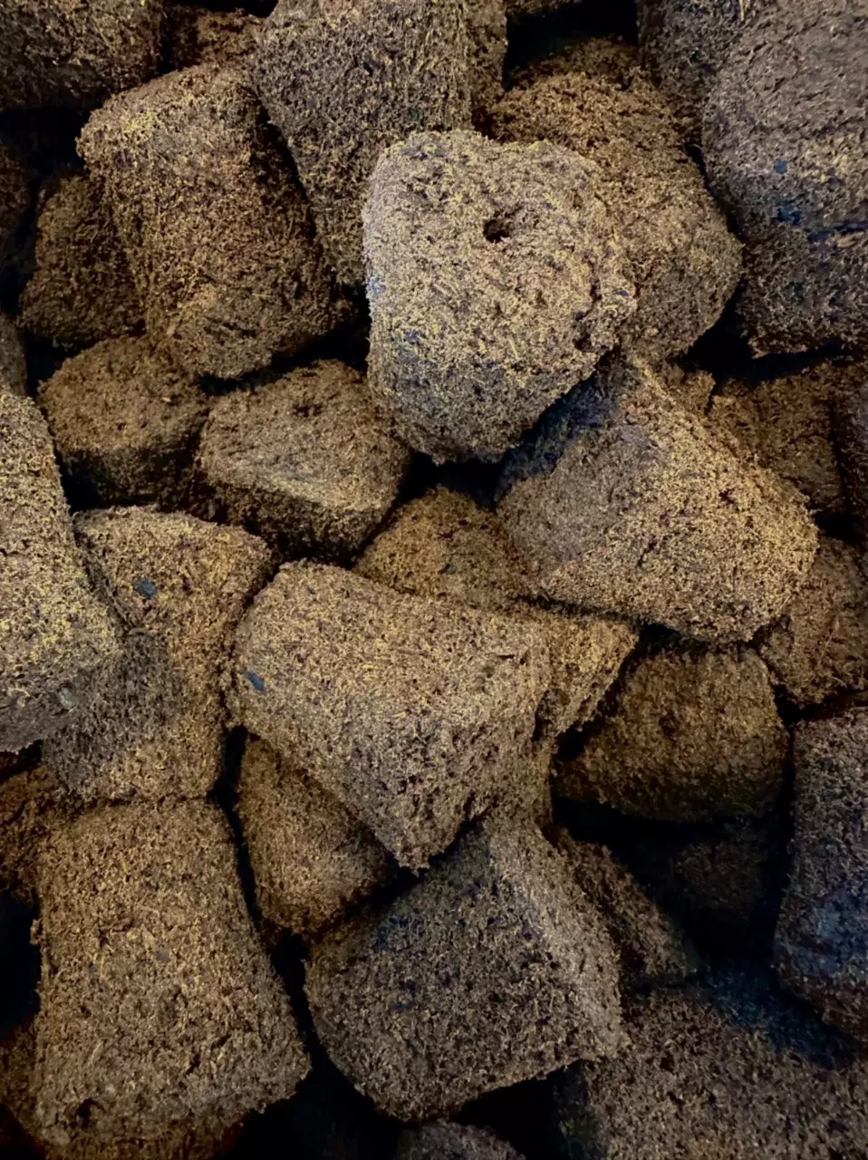 plant/PEAT MOSS PLUGS (10 PK)-0