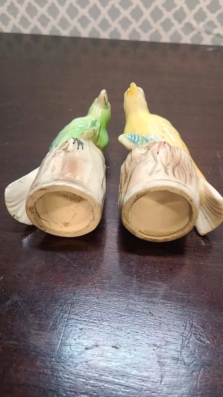 plant/Vintage Bird Salt and Pepper Shakers *NEEDS REPAIR*-3