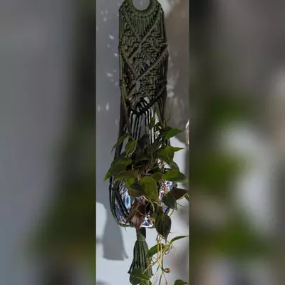 plant/#441 6-diamond pattern, your color choice-0-thumbnail