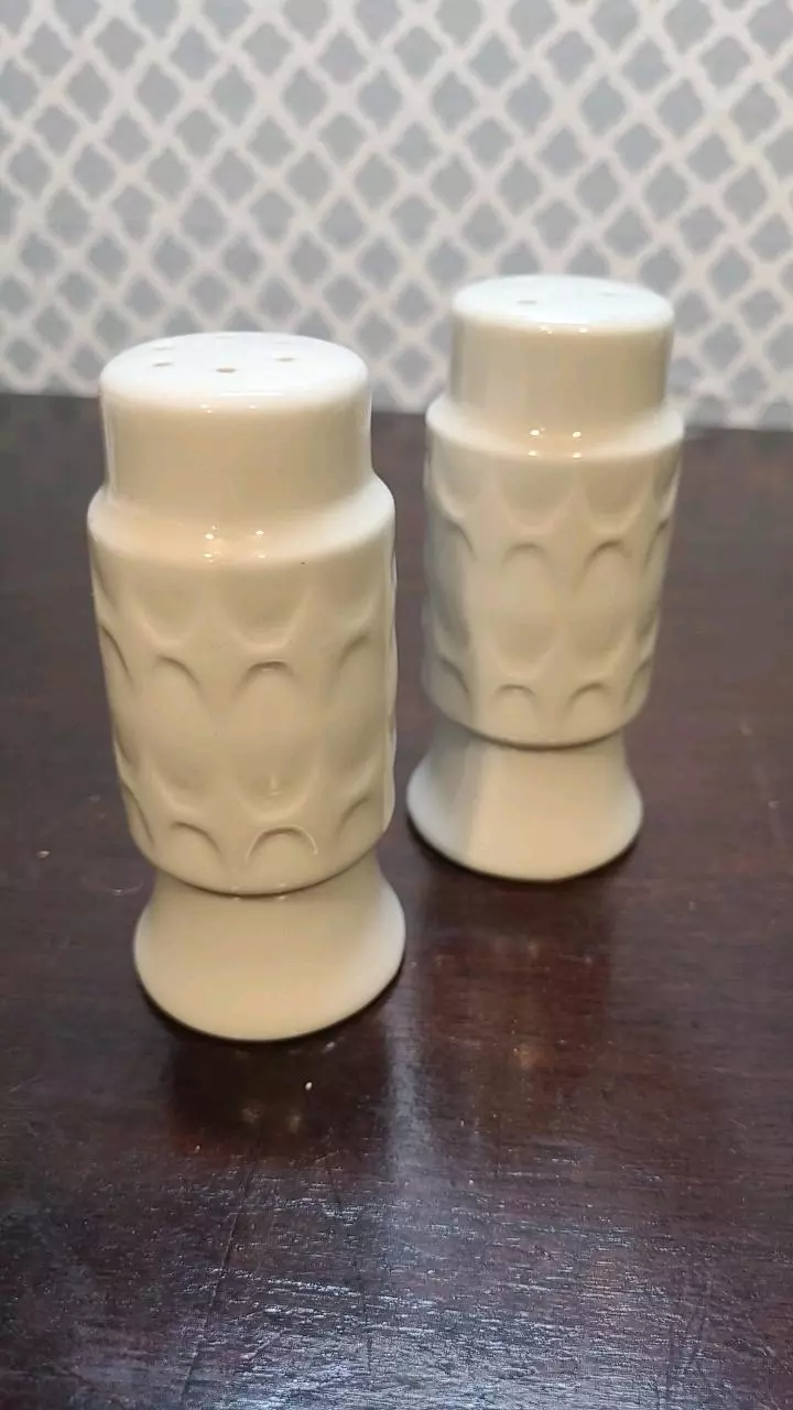 plant/Vintage Ceramic MCM Style Salt and Pepper Shaker Set, NO Stoppers-0