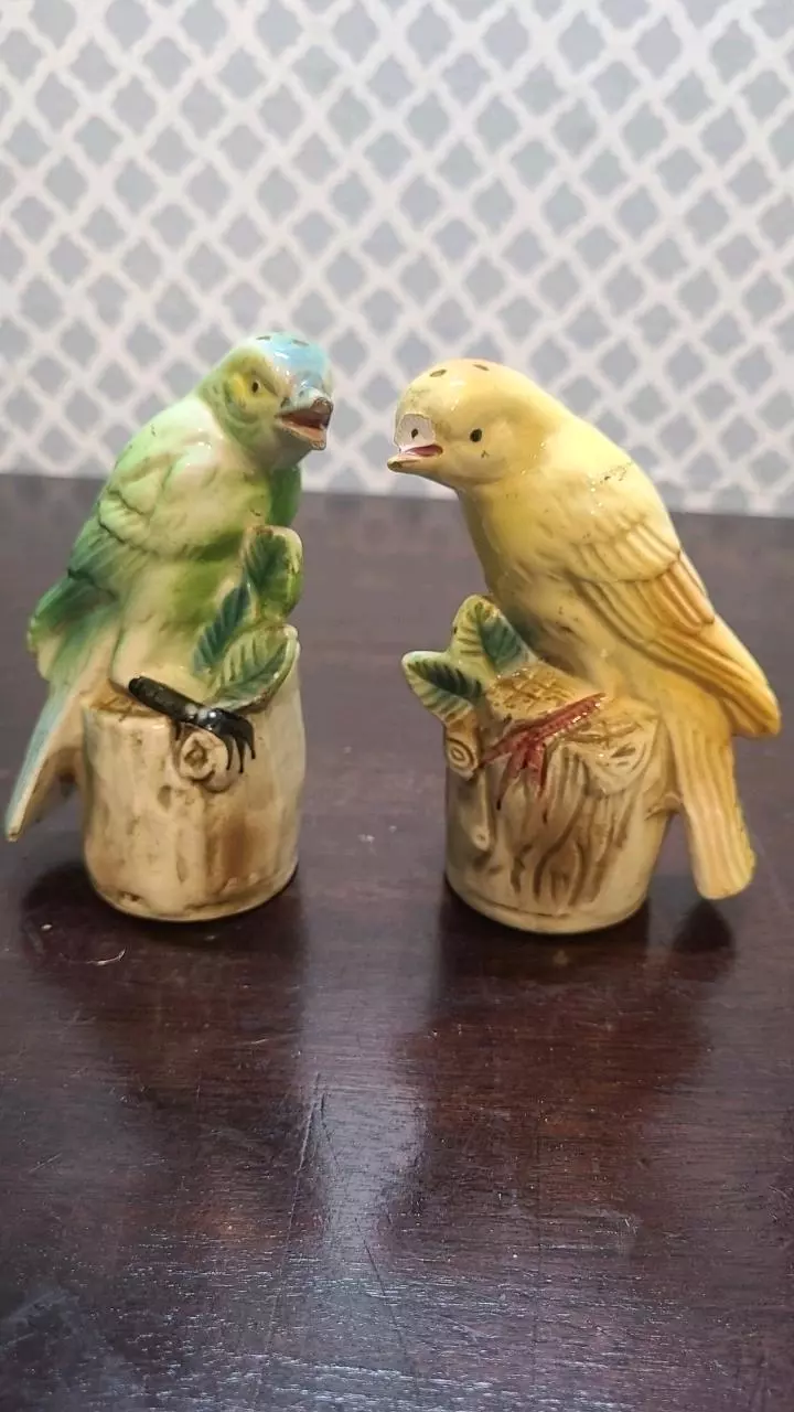 plant/Vintage Bird Salt and Pepper Shakers *NEEDS REPAIR*-0