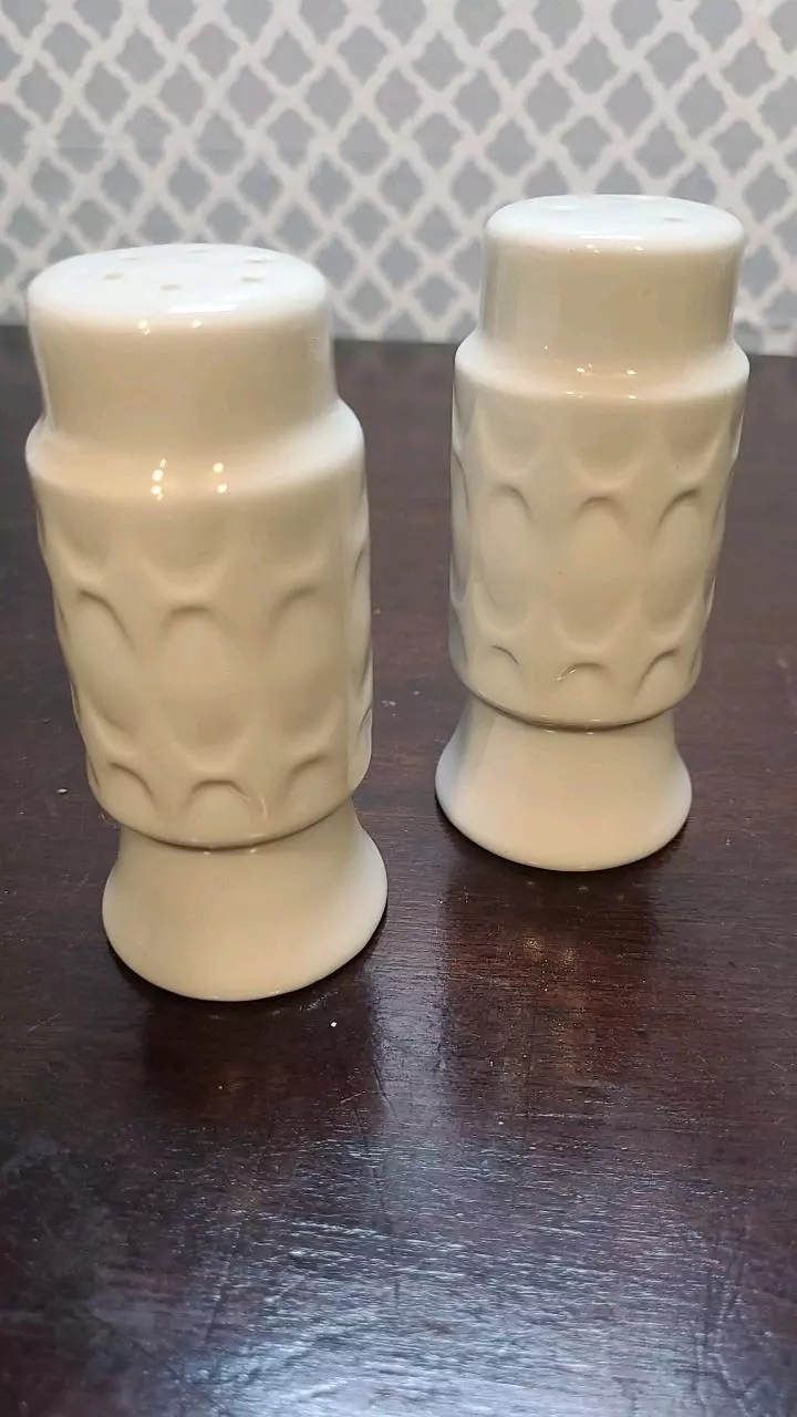 plant/Vintage Ceramic MCM Style Salt and Pepper Shaker Set, NO Stoppers-1