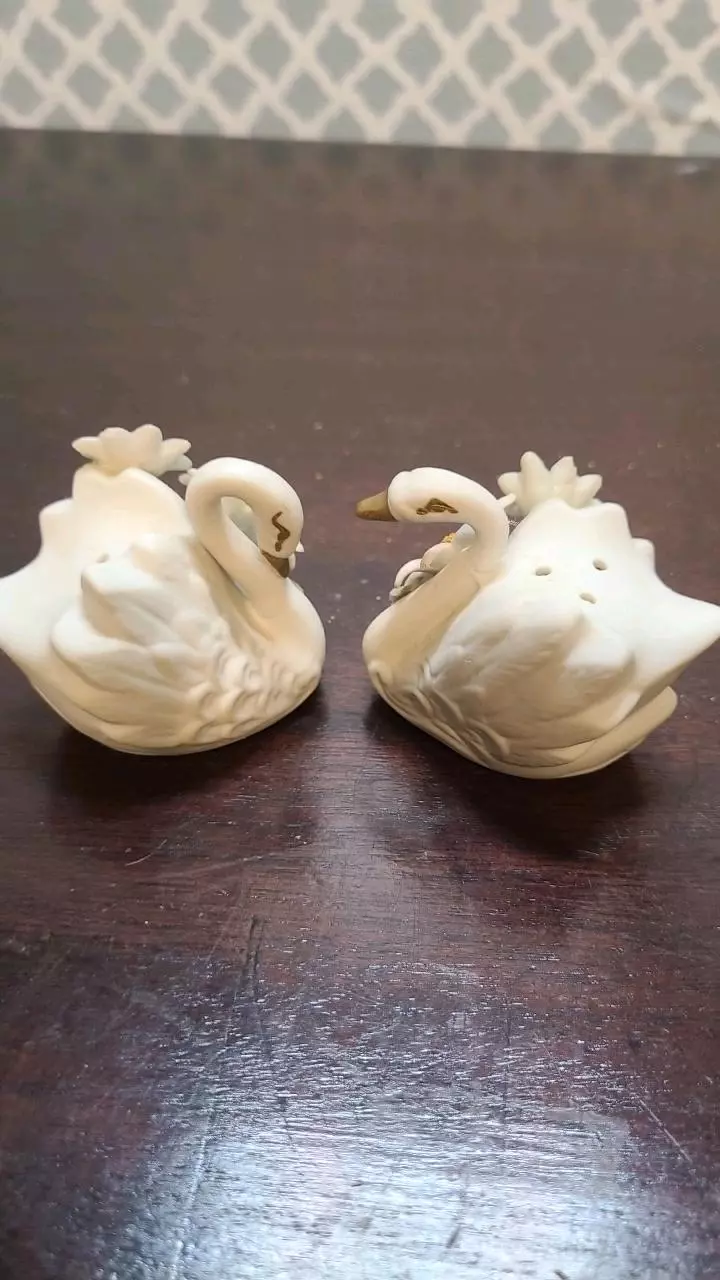 plant/Vintage SWAN Salt & Pepper Shaker Set - Made In Japan-1