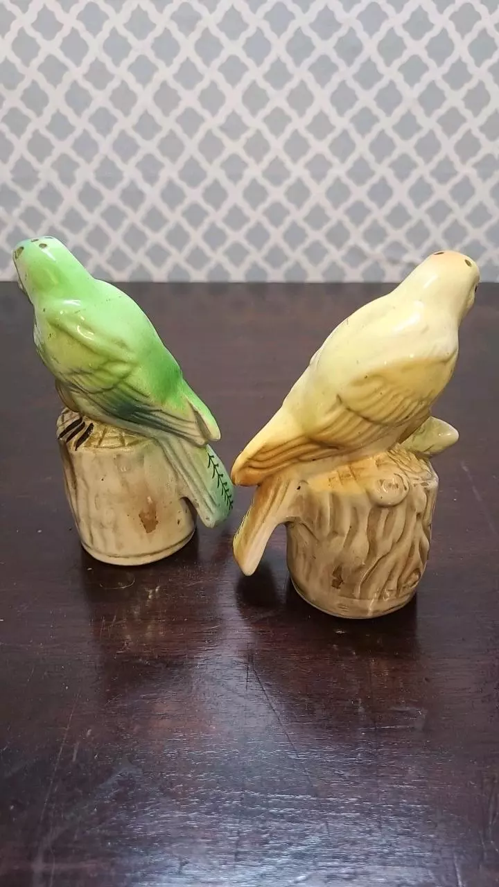plant/Vintage Bird Salt and Pepper Shakers *NEEDS REPAIR*-1