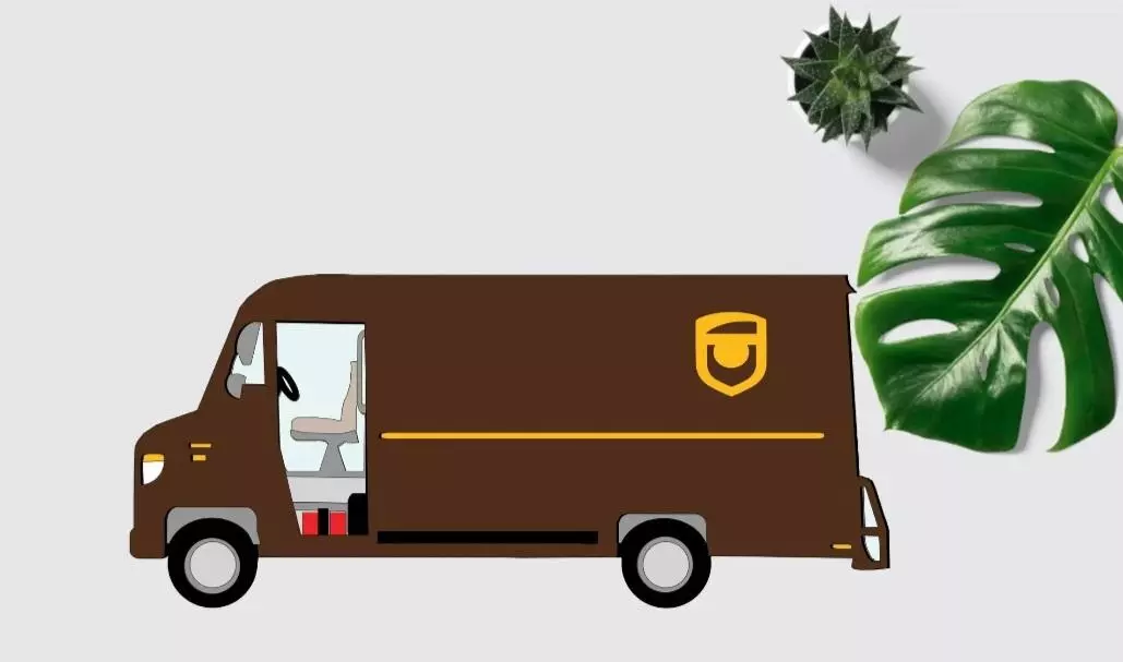 shipping_upgrade/2nd Day Air UPS 📦✨️-0