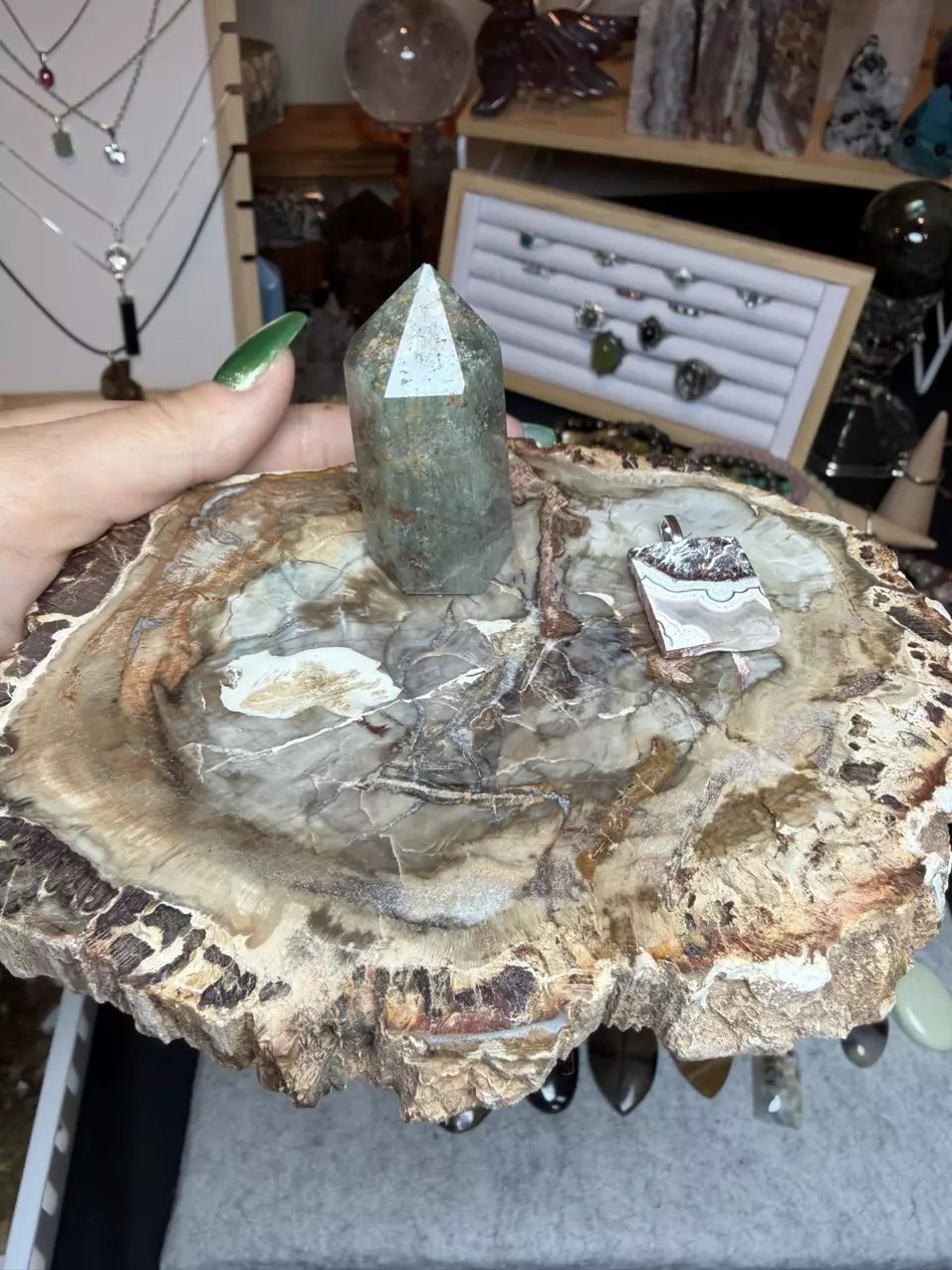 plant/Quick Reef Pod bundle-0