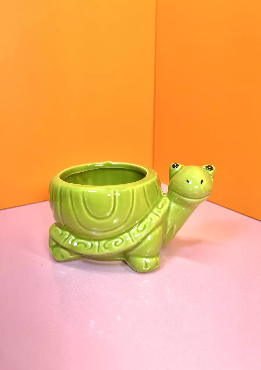 plant/Mini Ceramic Turtle Cache Pot | Green-1
