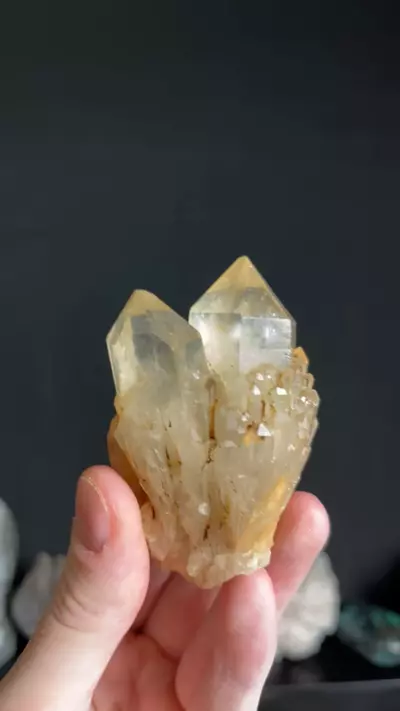 plant/#2 Congo Citrine-0-thumbnail