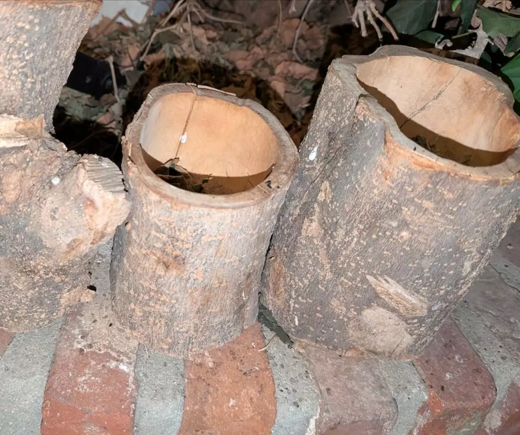 plant/Handmade plant holders-0