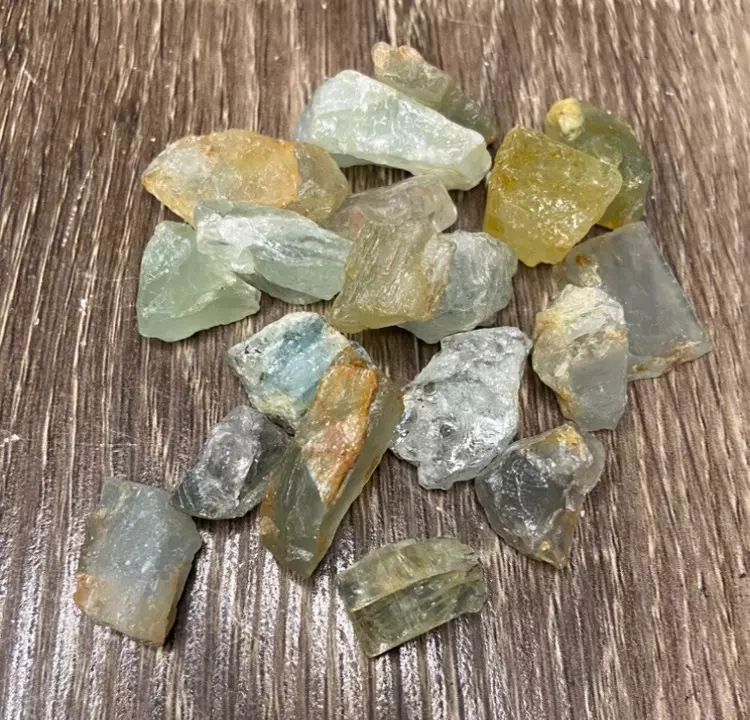 plant/Aquamarine Ruff Cut (1)-1