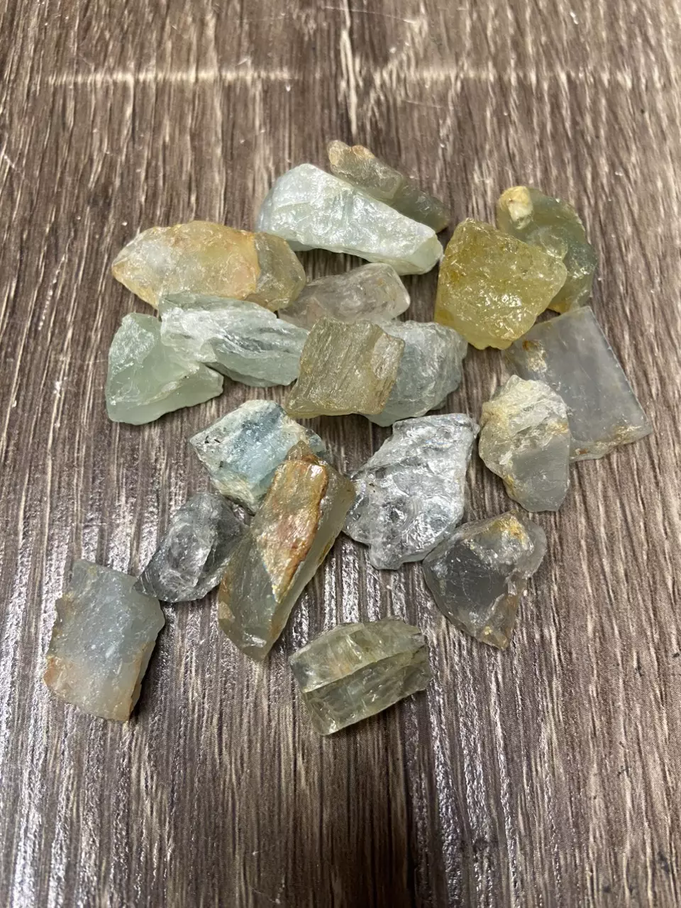 plant/Aquamarine Ruff Cut (1)-0