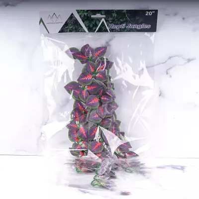 plant/Repti Jungles Hanging Plant by Altitude Exotics- Purple-0-thumbnail