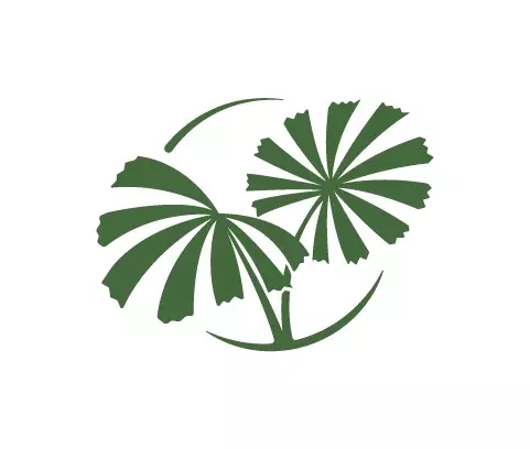 plant/2nd Day Shipping-0