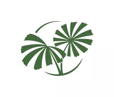 plant/2nd Day Shipping-0-thumbnail